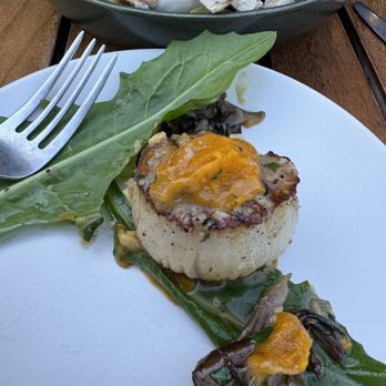 Cara Cara - Scallop was big but that's only a 7" plate. Two scallops for $34. - New American Near Me - Los Angeles, California Cara Cara - Scallop was big but that's only a 7" plate. Two scallops for $34. - New American Near Me - Los Angeles, California