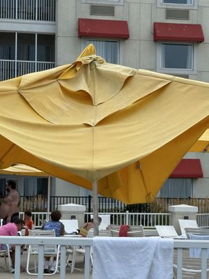 Hotel Breakers by null