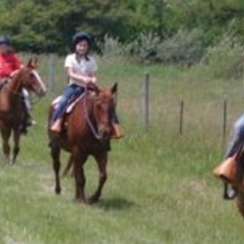 Brighton Recreation Riding Stable - Horseback Riding Near Me - Howell, Michigan