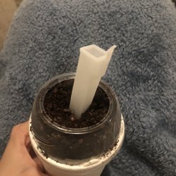 McDonald's - Regular Oreo McFlurry
