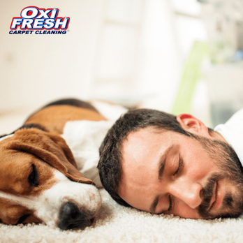 Oxi Fresh Carpet Cleaning - Safe for family and pets - Carpet Cleaning Near Me Oxi Fresh Carpet Cleaning - Safe for family and pets - Carpet Cleaning Near Me