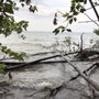 Photo of Shorewood Nature Preserve