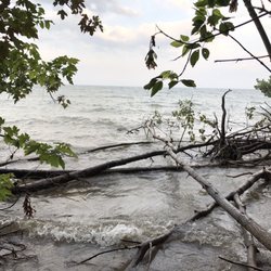 Shorewood Nature Preserve