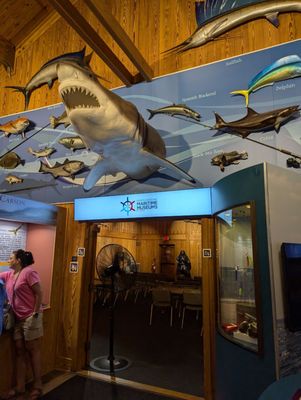 North Carolina Maritime Museum in Beaufort by null