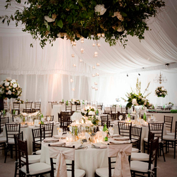 Elegant Events