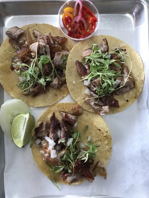 Cocina Luchadoras by null