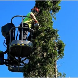 Bob's Tree Service