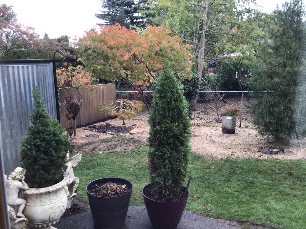 TreeTime Tree Service - tree service in Portland, OR