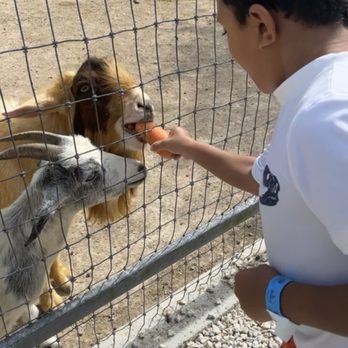 By Brothers - Feed the animals in by brothers little farm - Fruits & Veggies Near Me - Miami, Florida By Brothers - Feed the animals in by brothers little farm - Fruits & Veggies Near Me - Miami, Florida