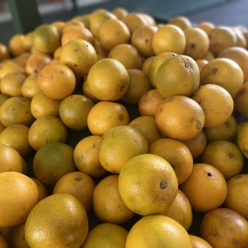 Ferris Groves - Shipping for Holidays - Fruits & Veggies Near Me - Floral City, Florida Ferris Groves - Shipping for Holidays - Fruits & Veggies Near Me - Floral City, Florida