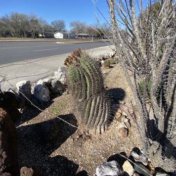 Paul's Desert - Front garden - Nurseries & Gardening Near Me - Schertz, Texas Paul's Desert - Front garden - Nurseries & Gardening Near Me - Schertz, Texas