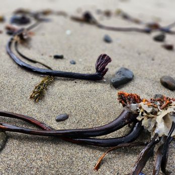 Glass Beach - Idk...can you tell me? - Beaches Near Me