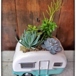 Retro Camper succulent garden