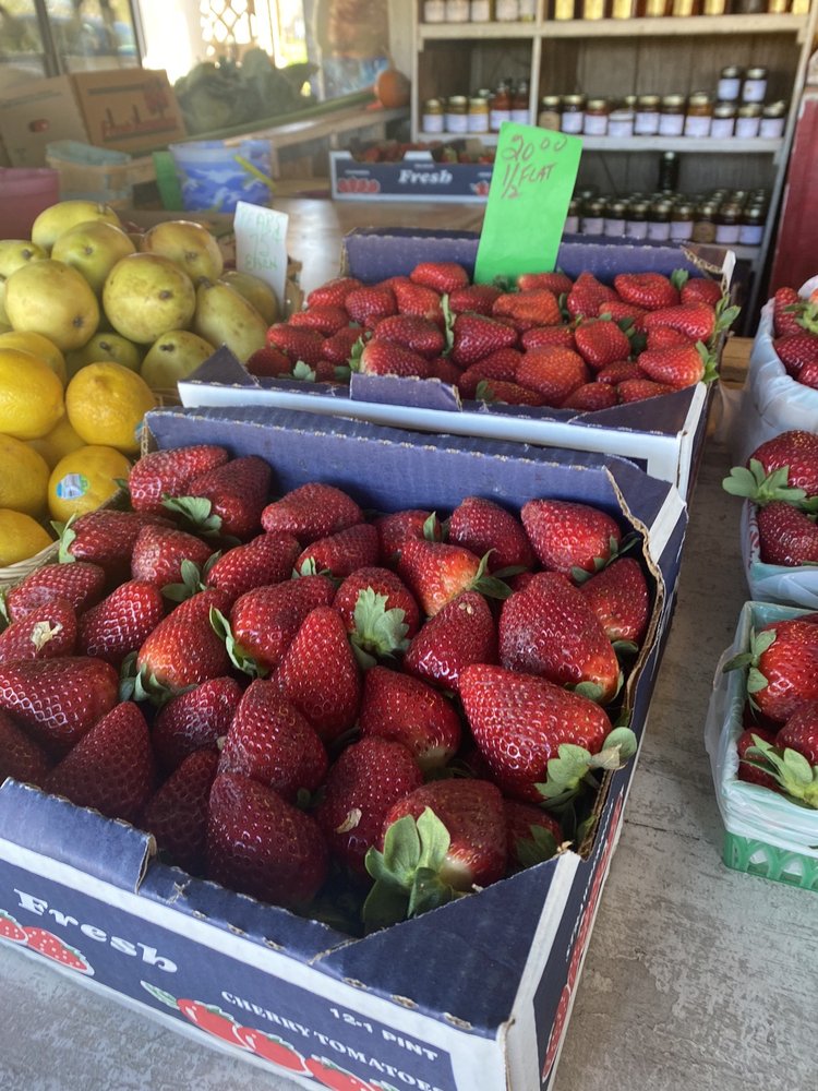 NORMAN’S FRUIT STAND 15 Photos NE 193rd St, Starke, Florida