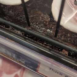 Save Mart - Unsanitary shelves in the meat dept. Makes me second guess buying from here.