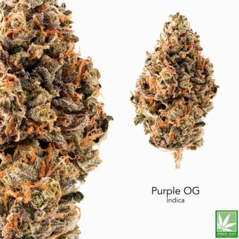 Green Energy Meds - Purple OG - Cannabis Clinics Near Me Green Energy Meds - Purple OG - Cannabis Clinics Near Me