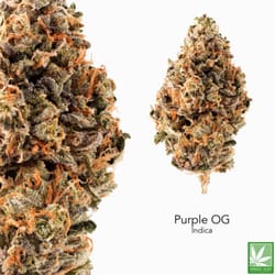 Green Energy Meds - Purple OG