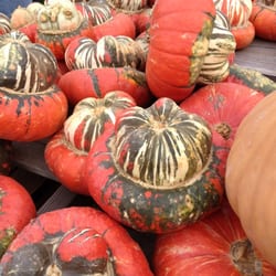 Hindinger Farm - Pumpkin time is another great time at the farm.