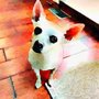 Photo of T & T Pet Food & Supply