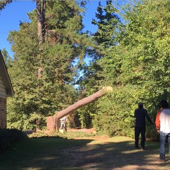MA Garcia Tree Service - Tree Services Near Me