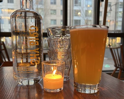 Shy Bird - Fenway by null