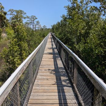 City of Cedar Key - Cedar Key, Florida - Local Flavor Near Me - Cedar Key, Florida City of Cedar Key - Cedar Key, Florida - Local Flavor Near Me - Cedar Key, Florida