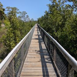 City of Cedar Key - Cedar Key, Florida
