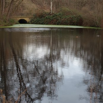 Tiergarten - Parks Near Me - Berlin, BE Tiergarten - Parks Near Me - Berlin, BE