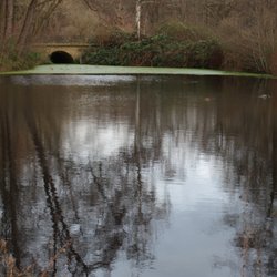 Tiergarten