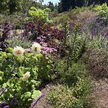 Humboldt Botanical Garden - Gorgeous! - Community Service/Non-Profit Near Me - Eureka, California