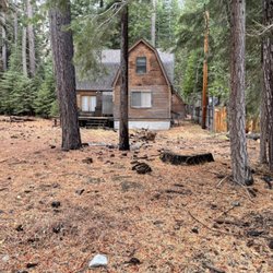 Frank's Stump Grinding - Need a clean up?