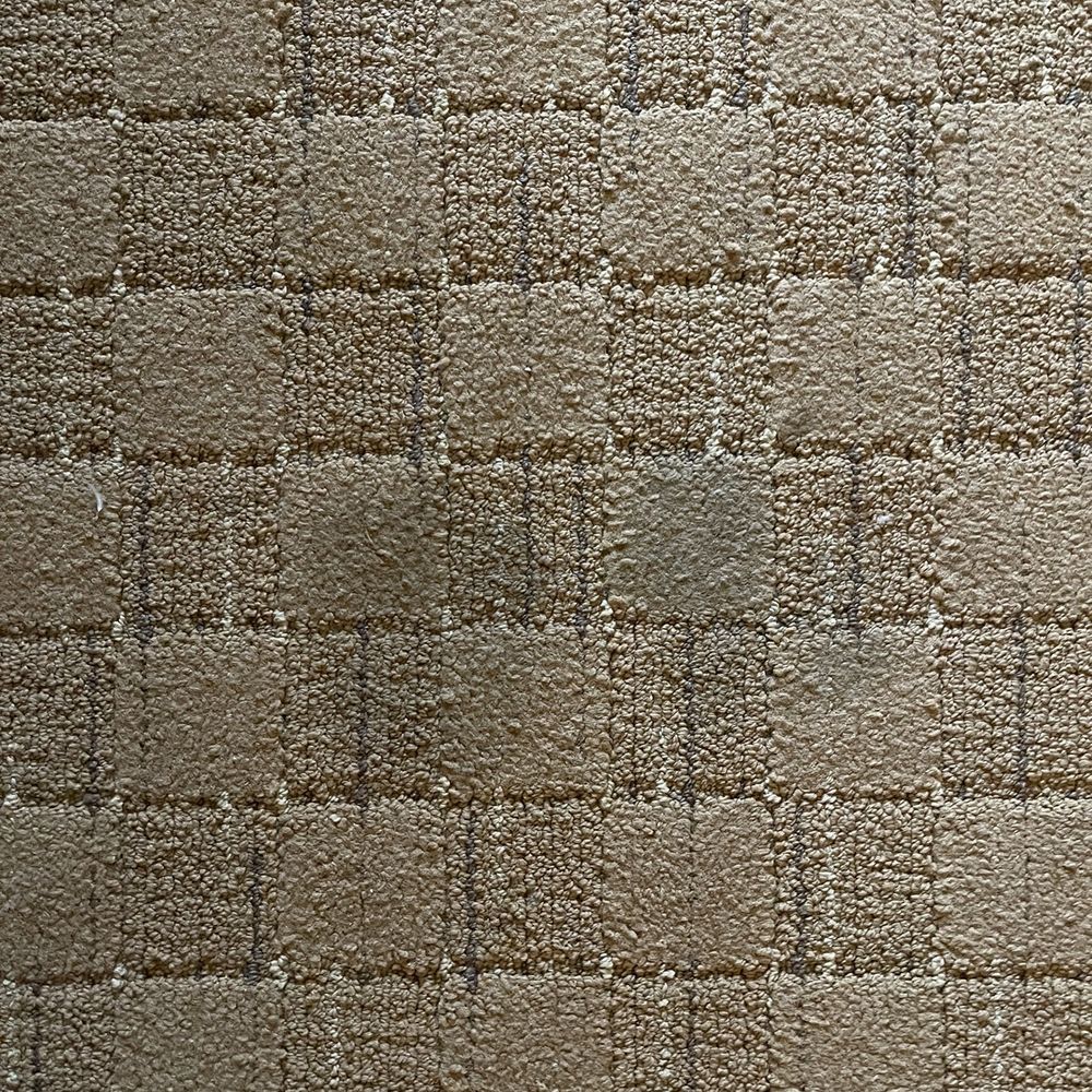 Tropicana Laughlin - A Caesars Rewards Destination - And more gross carpet stains - Hotels Near Me - Laughlin, Nevada Tropicana Laughlin - A Caesars Rewards Destination - And more gross carpet stains - Hotels Near Me - Laughlin, Nevada