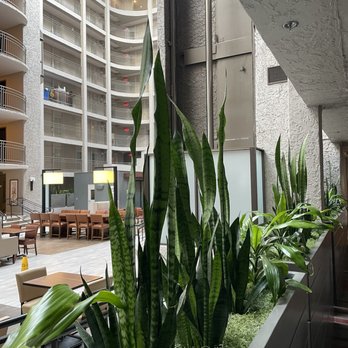 Embassy Suites by Hilton El Paso - Hotels Near Me - El Paso, Texas Embassy Suites by Hilton El Paso - Hotels Near Me - El Paso, Texas