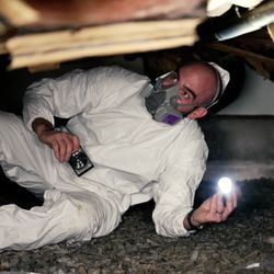 Milestone Inspection Services - Dark crawl spaces don't scare us!
