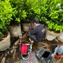 Network Plumbing