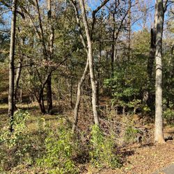 Spadra Creek Nature Trail