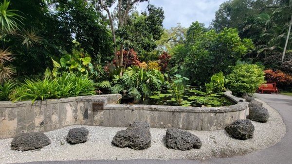 The Kampong, National Tropical Botanical Garden by null