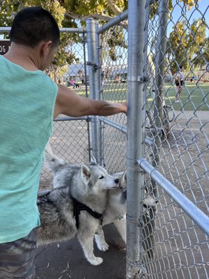 Reed Street Dog Park by null