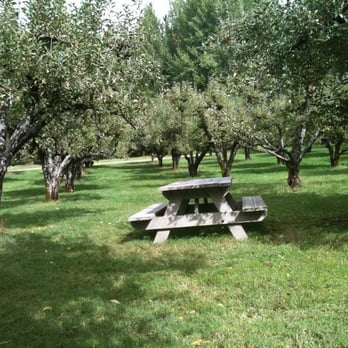 Grandpa's Cellar - Have a picnic in the orchard! - Bakeries Near Me - Camino, California Grandpa's Cellar - Have a picnic in the orchard! - Bakeries Near Me - Camino, California