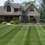 Photo of Growing Greener Lawns