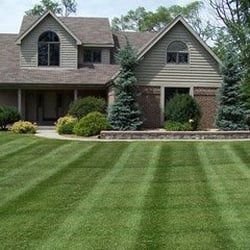 Growing Greener Lawns