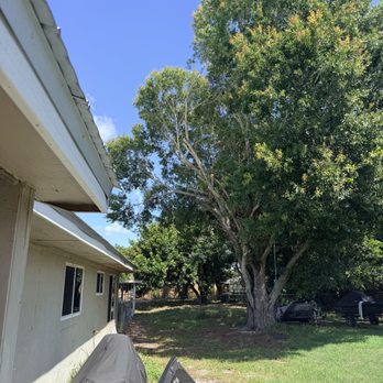 Jeffrey's In and Out Tree Service - Tree Services Near Me - Stuart, Florida Jeffrey's In and Out Tree Service - Tree Services Near Me - Stuart, Florida