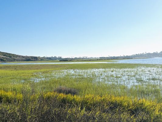 Upper Newport Bay Nature Preserve by null