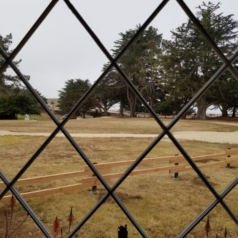 Oceanpoint Ranch - View from our window! - Hotels Near Me - Cambria, California Oceanpoint Ranch - View from our window! - Hotels Near Me - Cambria, California