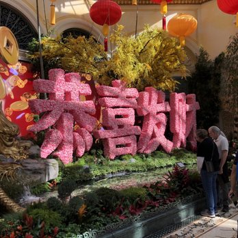 Bellagio - Conservatory inside Bellagio - Hotels Near Me - Las Vegas, Nevada Bellagio - Conservatory inside Bellagio - Hotels Near Me - Las Vegas, Nevada