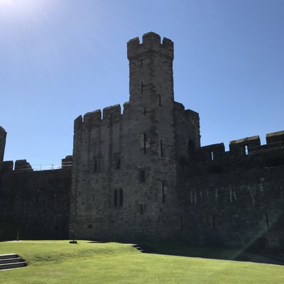 Caernarfon Castle by null