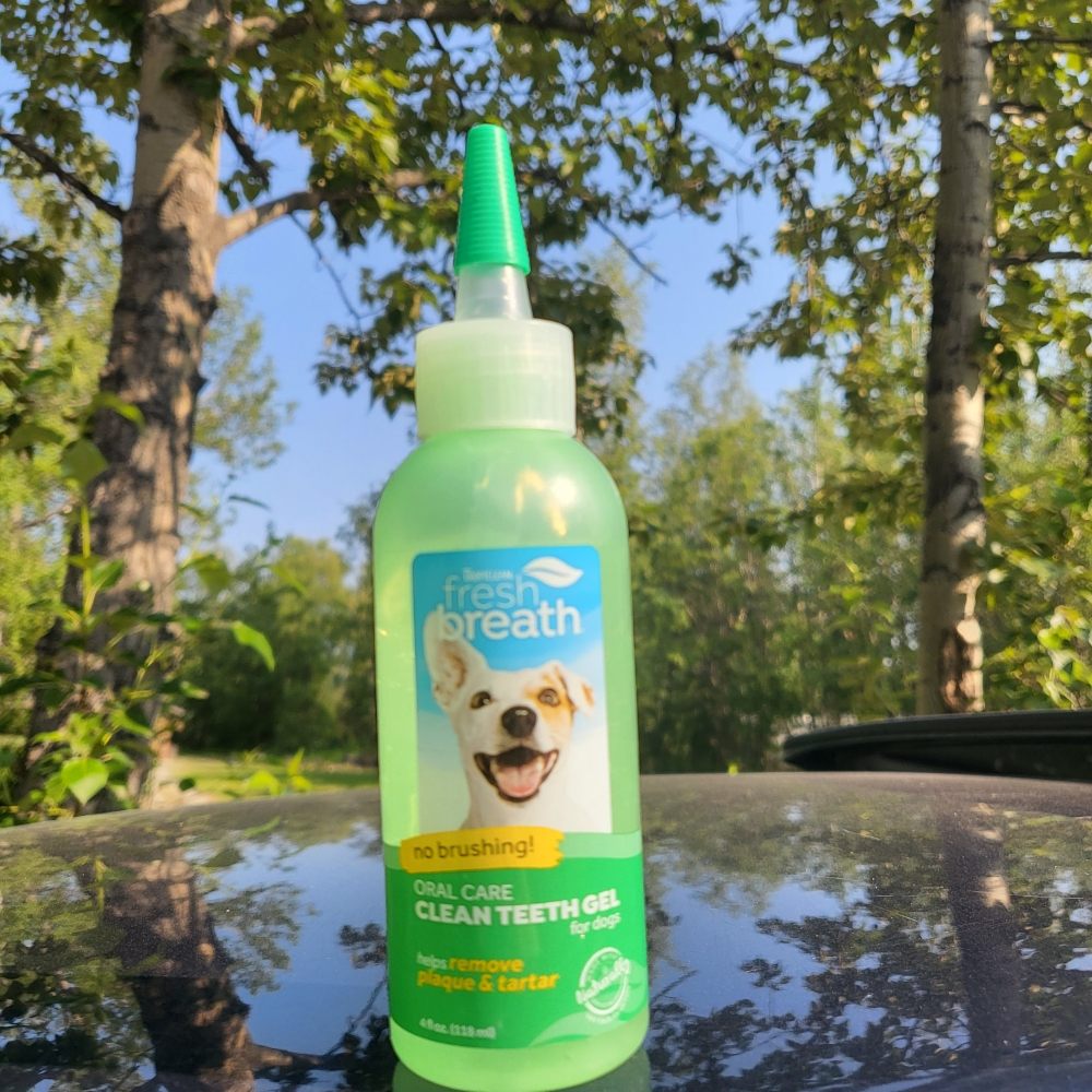 CAPPEL QUALITY GROOMING Updated August 2024 Wasilla, Alaska Pet