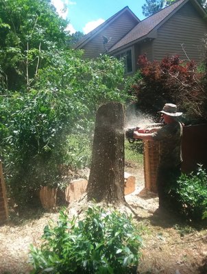 Professional Tree Removal Done Right—A B C Tree Service Has You Covered! - Professional Tree Removal Done Right—A B C Tree Service Has You Covered! Professional Tree Removal Done Right—A B C Tree Service Has You Covered! - Professional Tree Removal Done Right—A B C Tree Service Has You Covered!