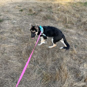 Centennial Park - Nella walking in the park - Parks Near Me - Bothell, Washington