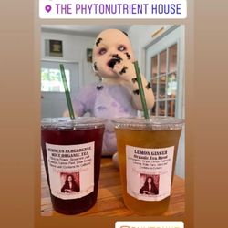 The PhytoNutrient House - Spooky seasonal